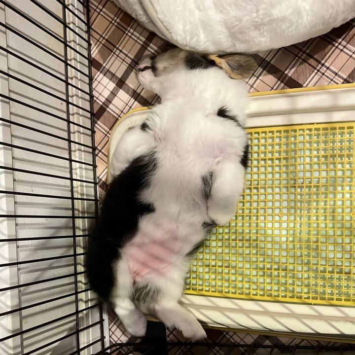 3a660174 66e3 4e93 9020 e2664c3339e6 1768215206412