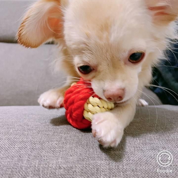 3a6645e6 1626 483a a2ae fa1394716323 1602150869563