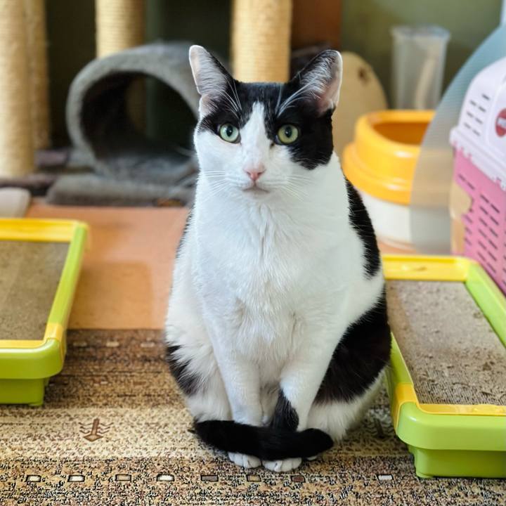 3a665709 eabb 4850 be81 22ae9c62154f 1670119964961