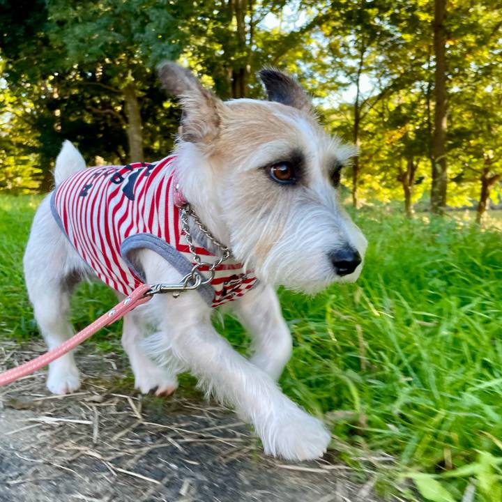 3a6657b4 3113 493e 870b bf546f4352b4 1667204275240