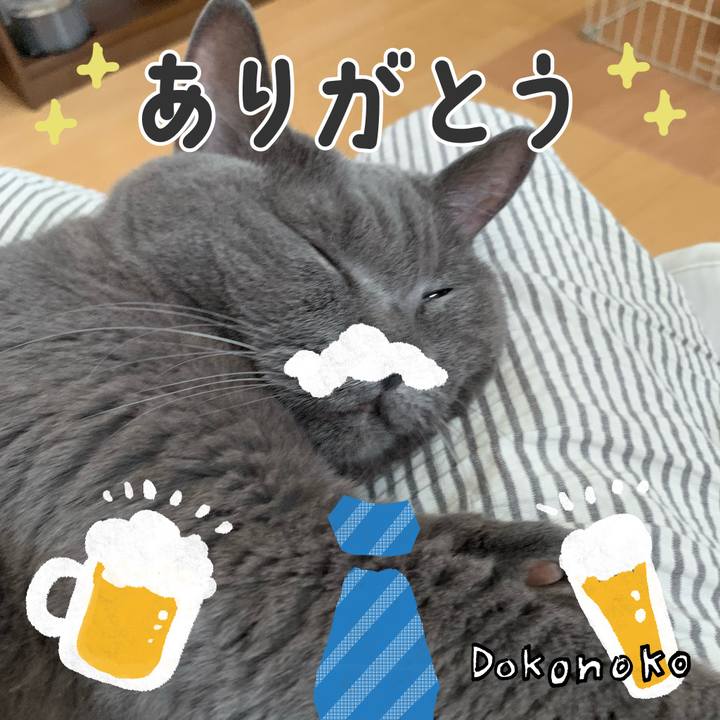 3a66713a 84ef 449a ba23 59dde2c5bba4 1718523993264