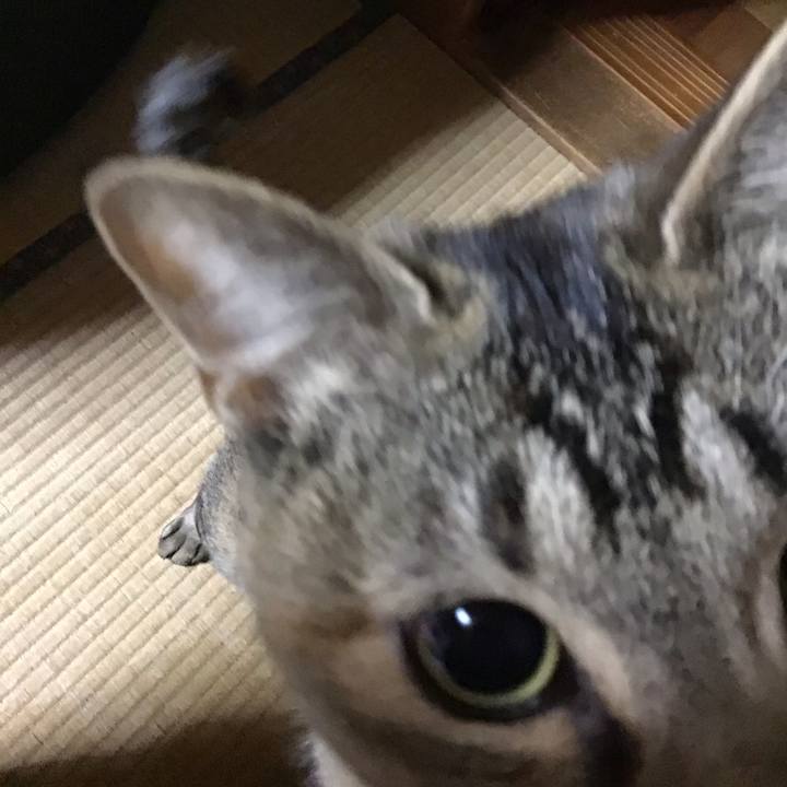 3a66b23f 36d6 4571 b588 754a6cd89de1 1579168330286