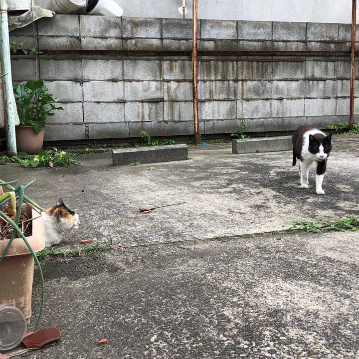 3a66d626 04c1 40e9 b17d 4ffd41043e79 1528978612003