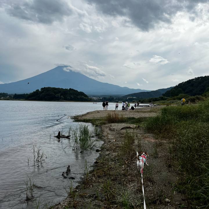 3a66e662 7ead 4b31 9ce9 93f78ea8f575 1758352983201