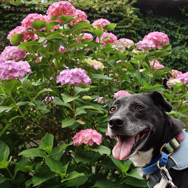 3a66ee4c 721d 4dd7 88d1 778d547f671f 1717201323073