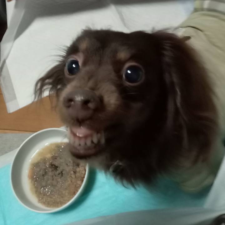 3a66faaa 594f 453d b5a3 d804b706a1f4 1765488957600