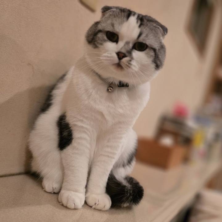 3a672e59 524a 4bf5 80fe f670d54871bb 1733907675693