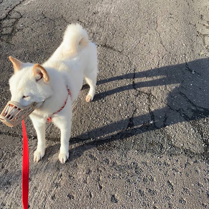 3a674481 3e27 4e0f 982e a0de567d0672 1562028612830