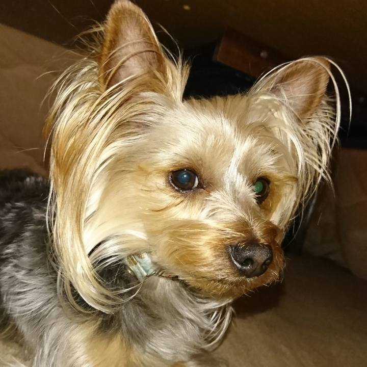 3a674cf1 b819 4813 8189 6c1ab1091ab5 1554858500842