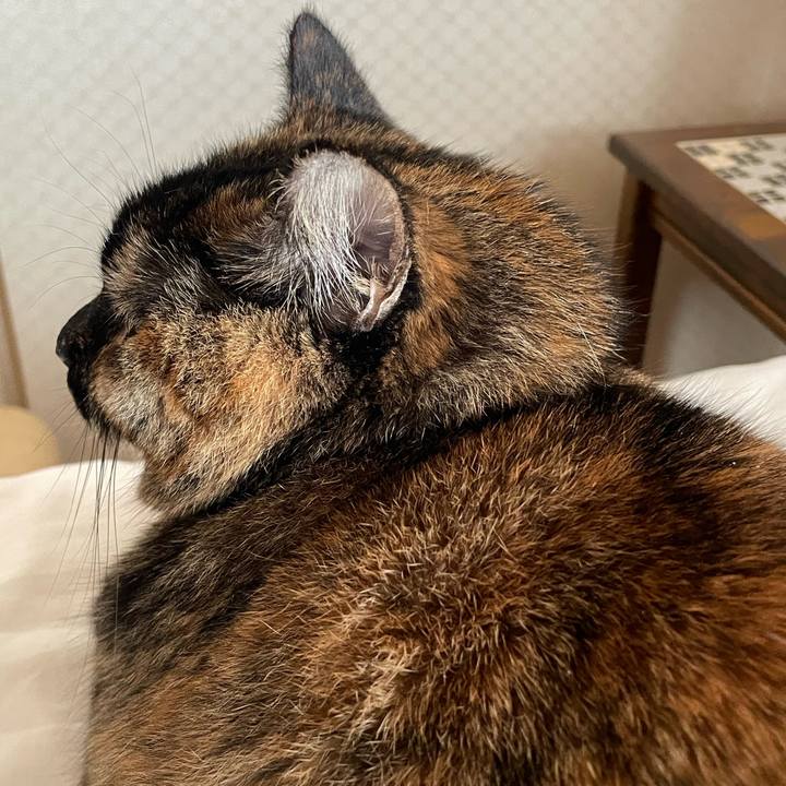 3a67742f d8b7 4194 8a2b 37c886f23dfa 1774588655429