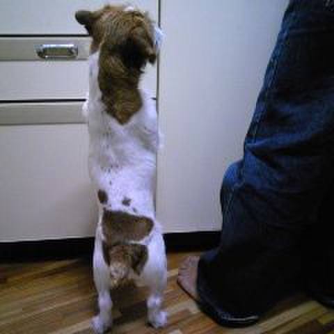 3a67d11c a3f5 4e20 bf26 8faebf4ba5a8 1528797669753