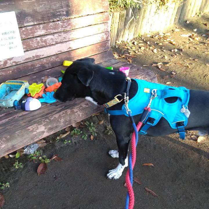 3a67e67a 6b61 4506 81ce ace081aed2e1 1607300991755