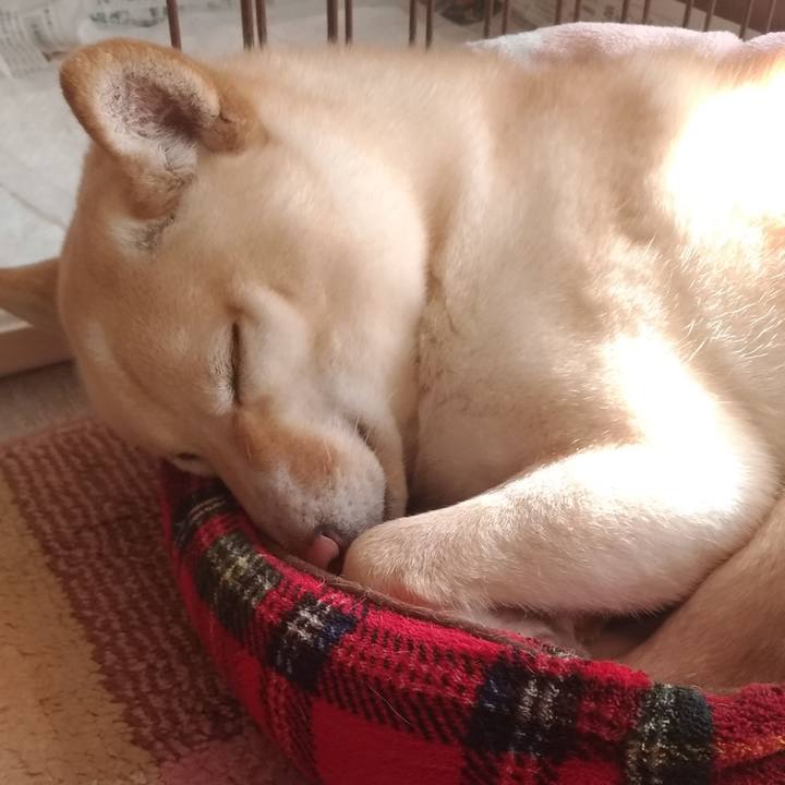 3a67f002 981f 4f20 b2a2 62cec235d403 1552437172777