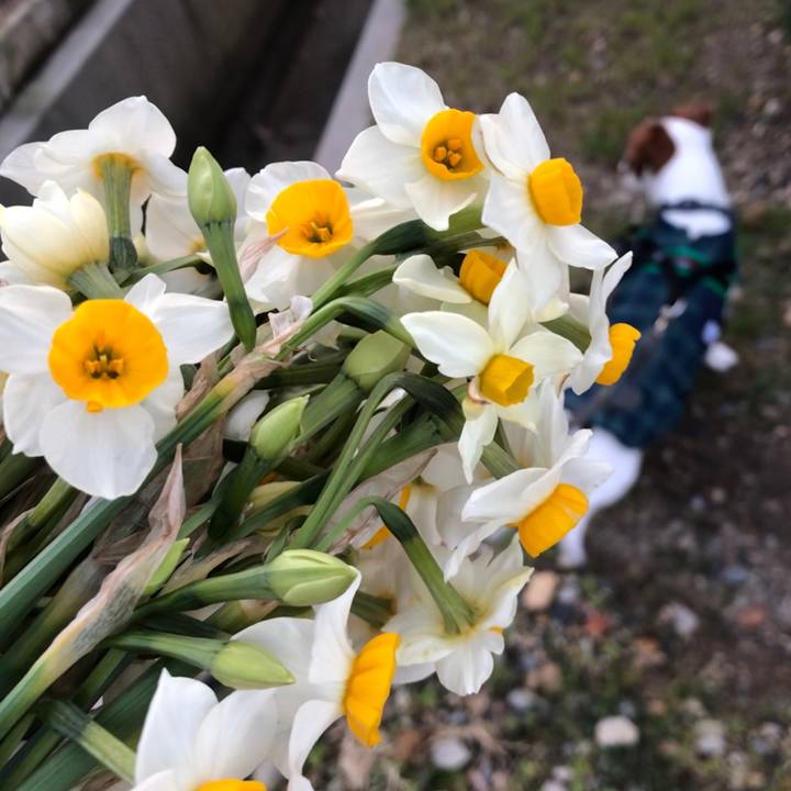 3a6810b5 6e26 4ff4 98f7 0f43ac070f0b 1546591205529