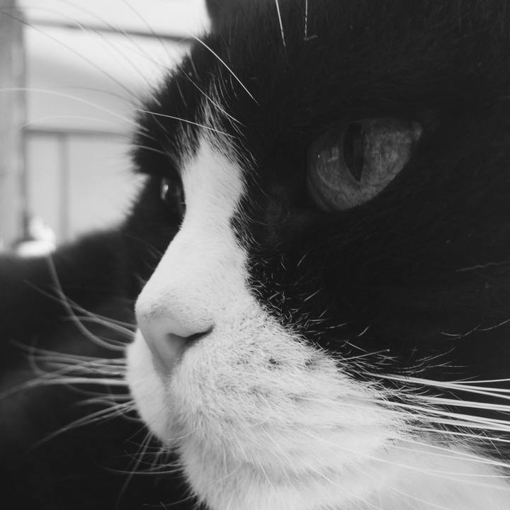 3a6828fa 6e07 4d86 bbdc c19412d42825 1574173935943