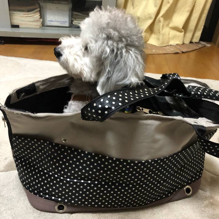 3a682ae6 09d2 4e0a 984b 7da96ae31699 1562390120758