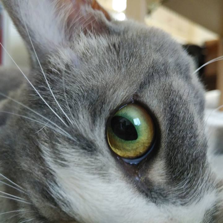 3a686559 9fd3 46b9 8f0a fad5257be636 1593647749388