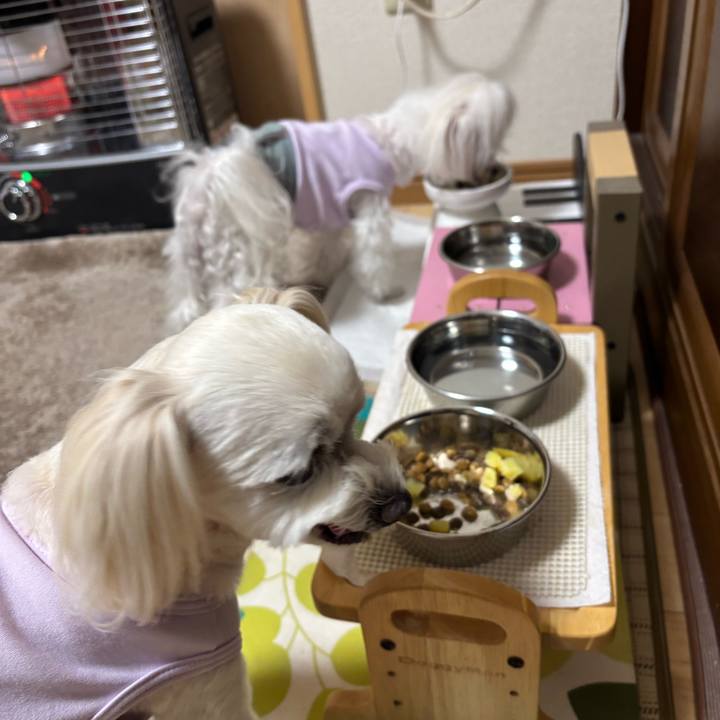 3a686a79 8200 4099 8c7e 950c242d502c 1764584084378