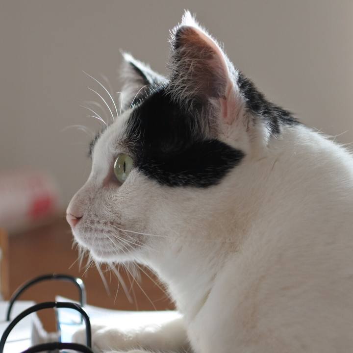 3a687573 6dbd 4a9e 993f f3a3effc1a62 1524901672284