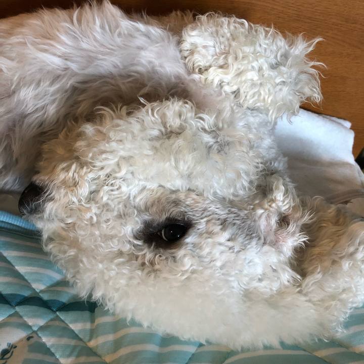 3a68cbb7 62fa 4986 8fcb dd55160df8bd 1601977703623