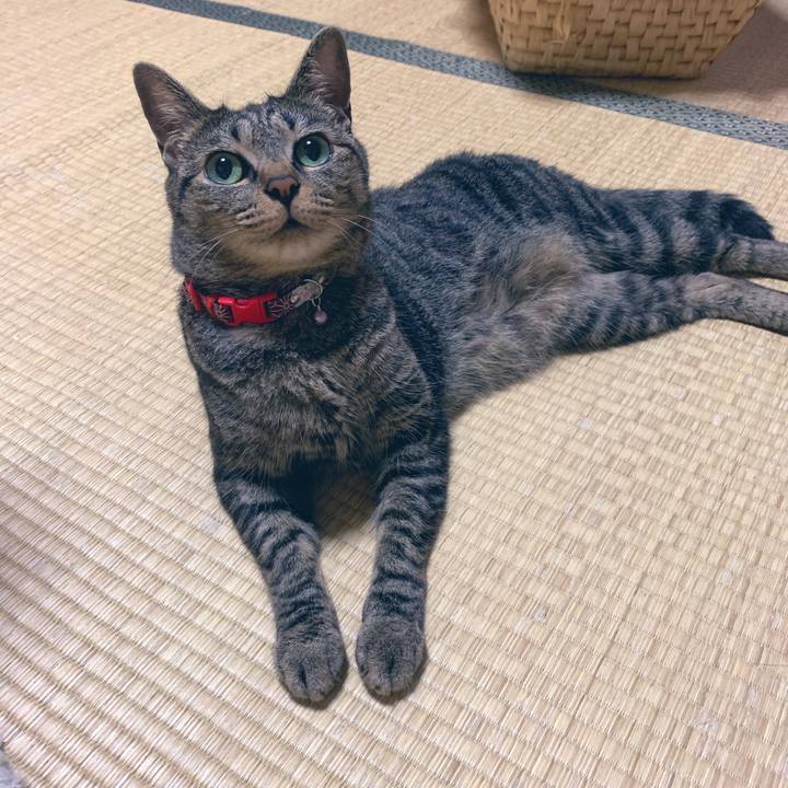 3a693840 2eba 4353 9bdf 4a57ae13b829 1563539800680