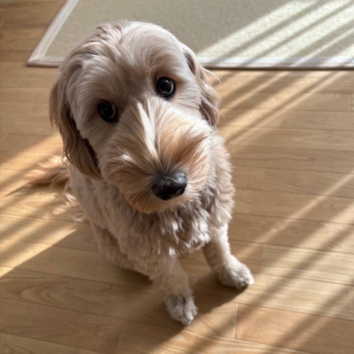 3a696063 9093 4e77 80ab 1e52d5160447 1764049390973