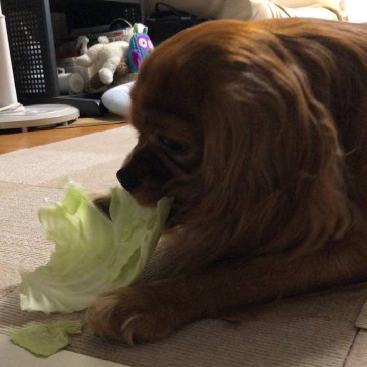 3a69761f 9466 49f0 8dab e02fd0c4fa2e 1597357750807