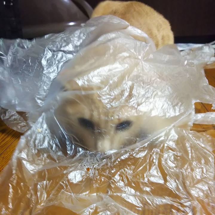 3a6978ac ec37 44b8 8faa 0f6a02816af8 1567245895229