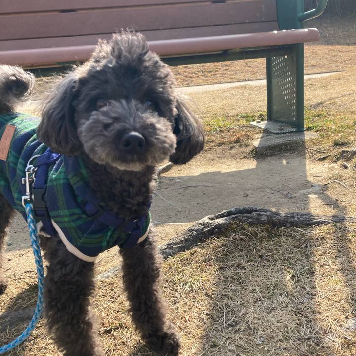 3a698744 76e8 4e4d a7f7 8671f5531670 1647056015501