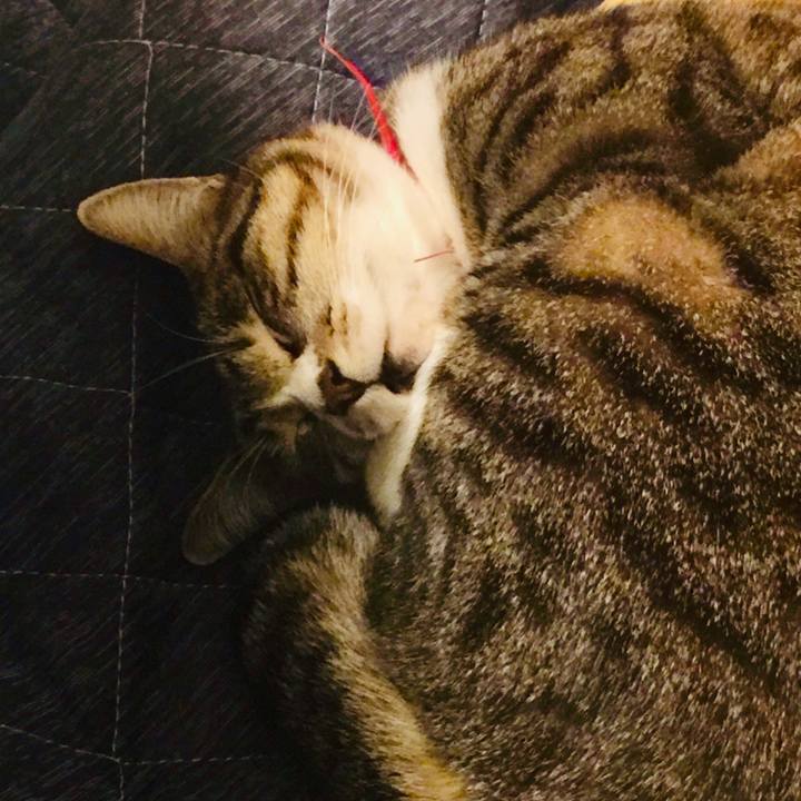 3a69927e 5274 4544 bcc3 582c398e447c 1547556695066