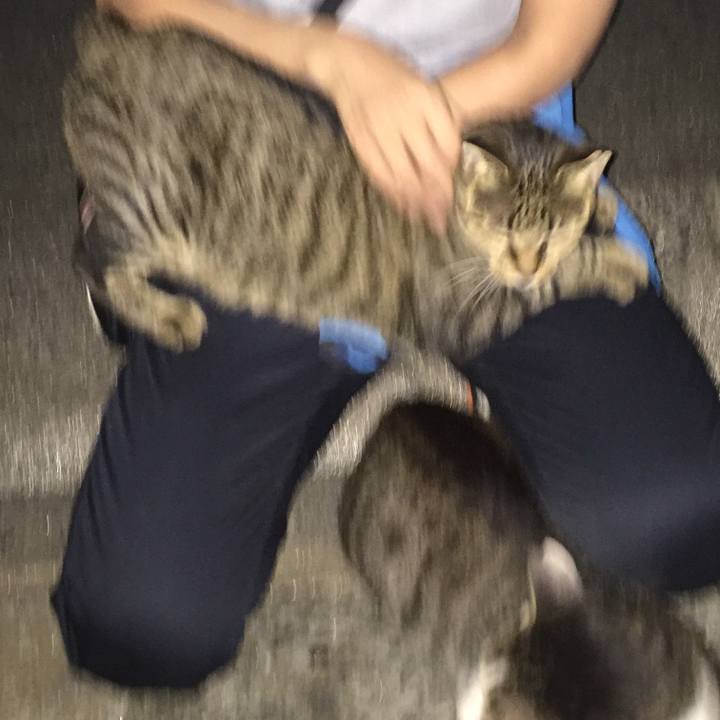 3a699c6c ca69 453c 8f30 159834c81f70 1519391479635