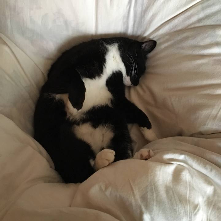 3a69c622 c387 4d1c 82fd 9cb96b6dc30a 1528579919700