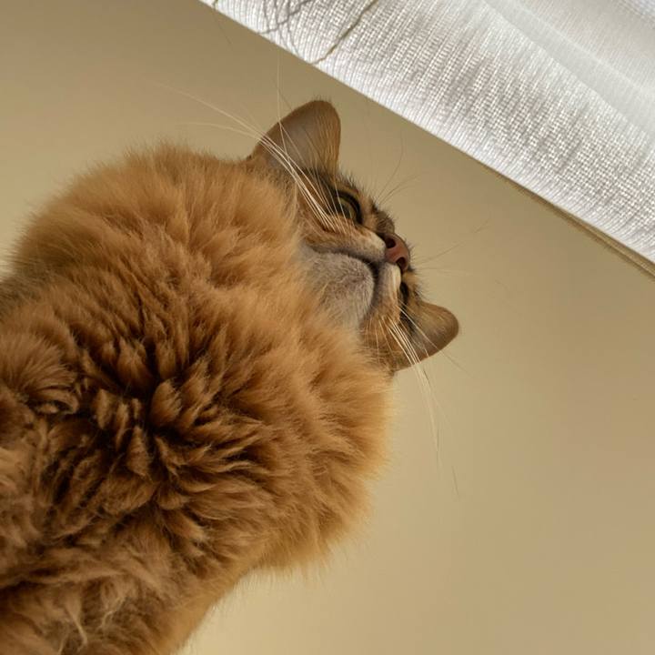 3a69cff0 0eb1 4967 b01a 7d0a8a1f24ce 1645925167638