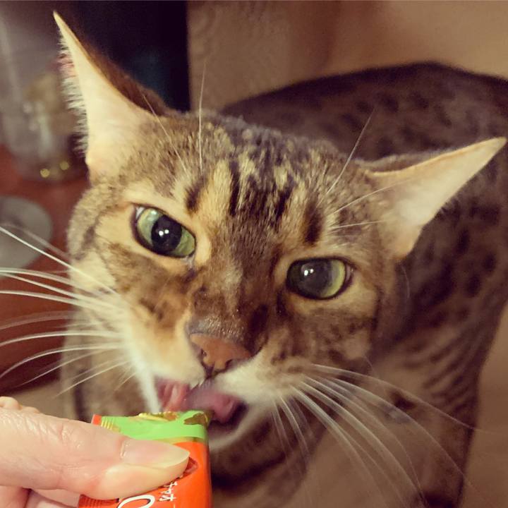 3a69d7ab 88ac 4734 9fb5 81cd6eb2b2b8 1578260970427