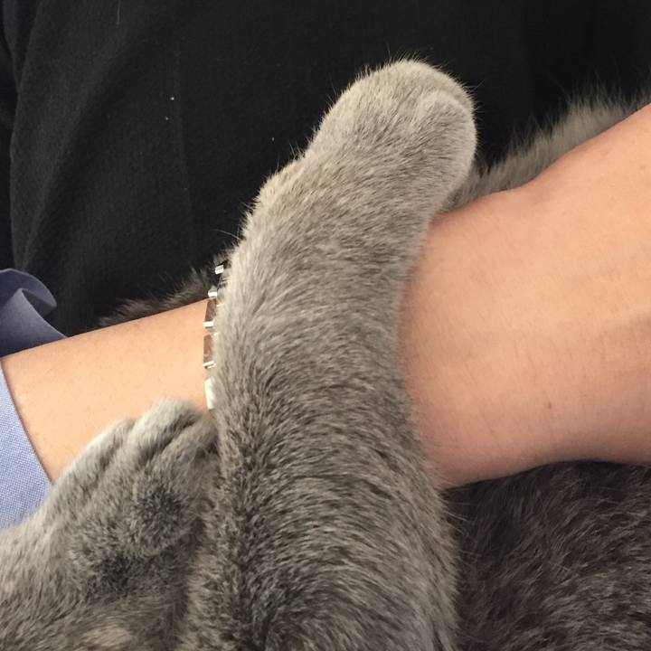 3a69fc24 3d3a 4887 a063 288cbdd2e132 1559257566755