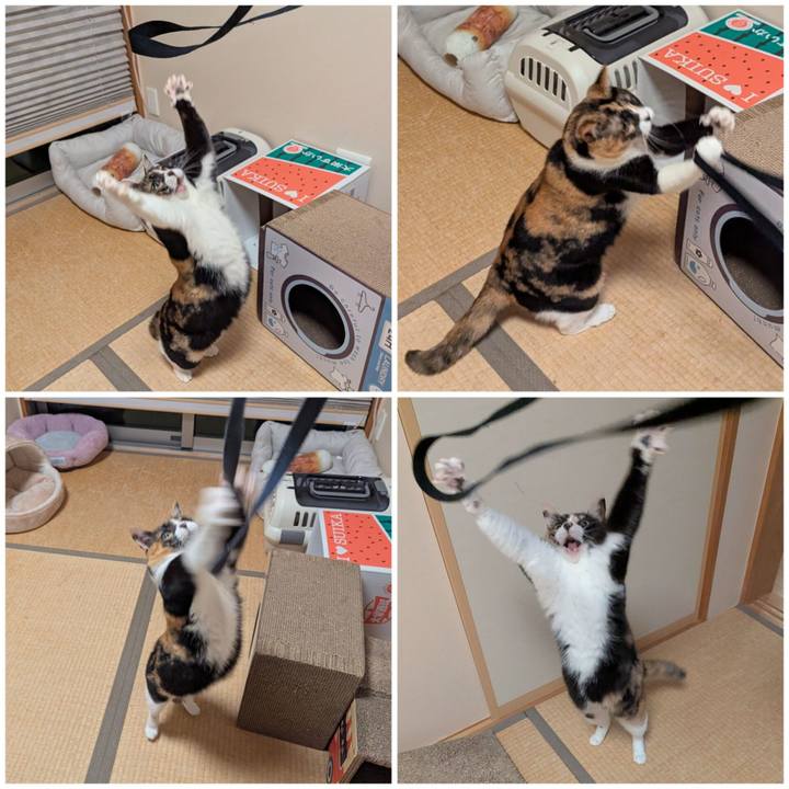 3a6a11c1 3d82 47e9 bd4d d264ce6a572f 1764818069279