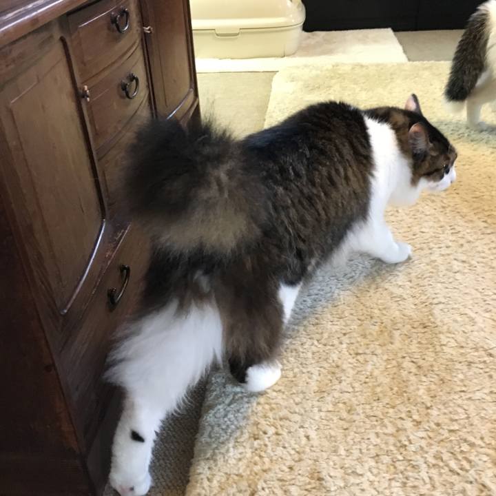 3a6a1b20 7884 4259 822f 0b606d47823f 1508113425680