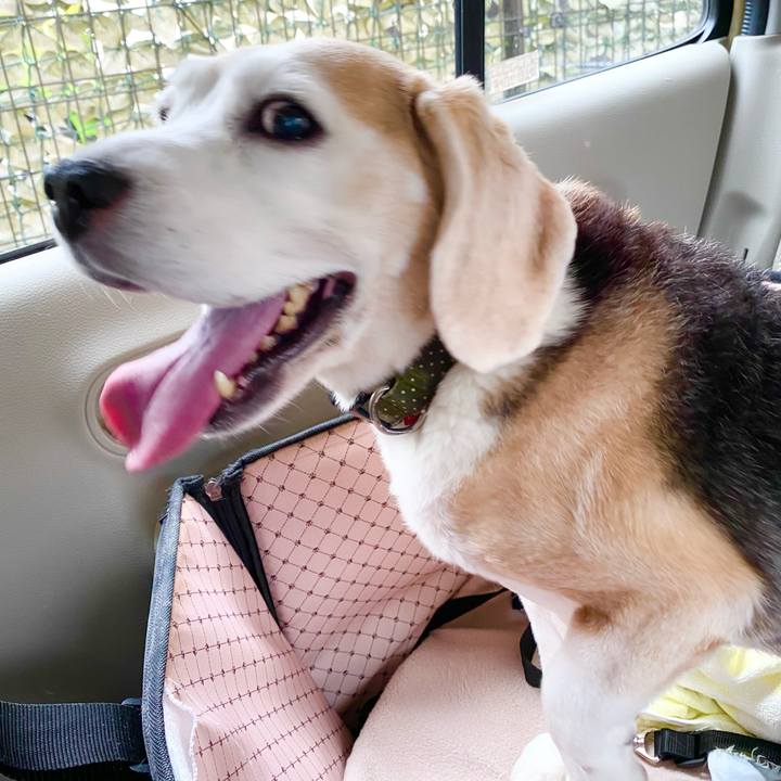 3a6a3c86 9993 4320 ae3a 7809c6325cb1 1665720607759