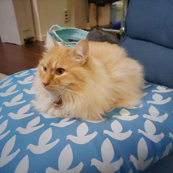 3a6a4716 6a77 4014 81e8 bed3fbf26f3b 1711196475218