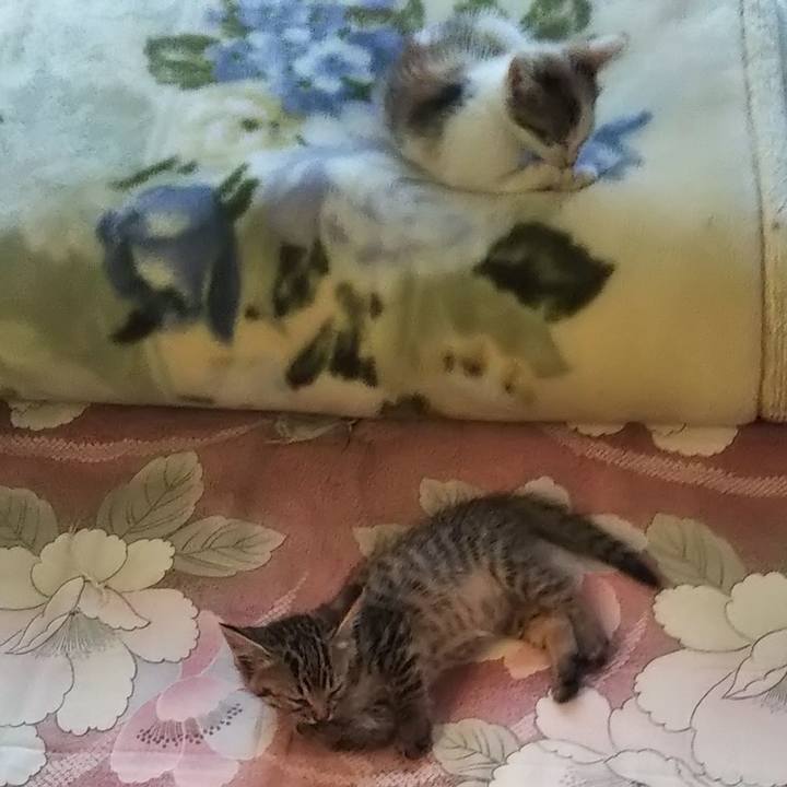 3a6a75d2 33d4 4713 90a9 910643e3a88d 1633247860200