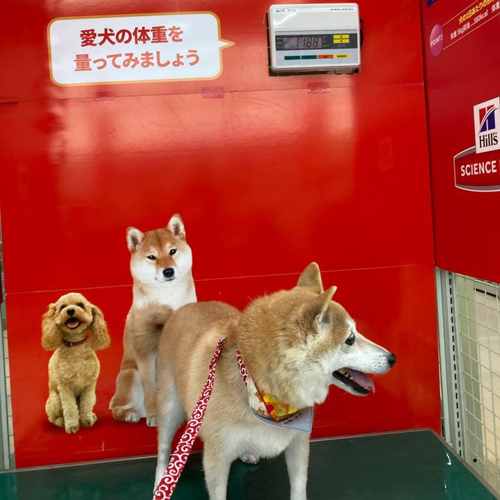 3a6a8dcb 05e2 4d74 9ab0 763d88555acd 1636721663286