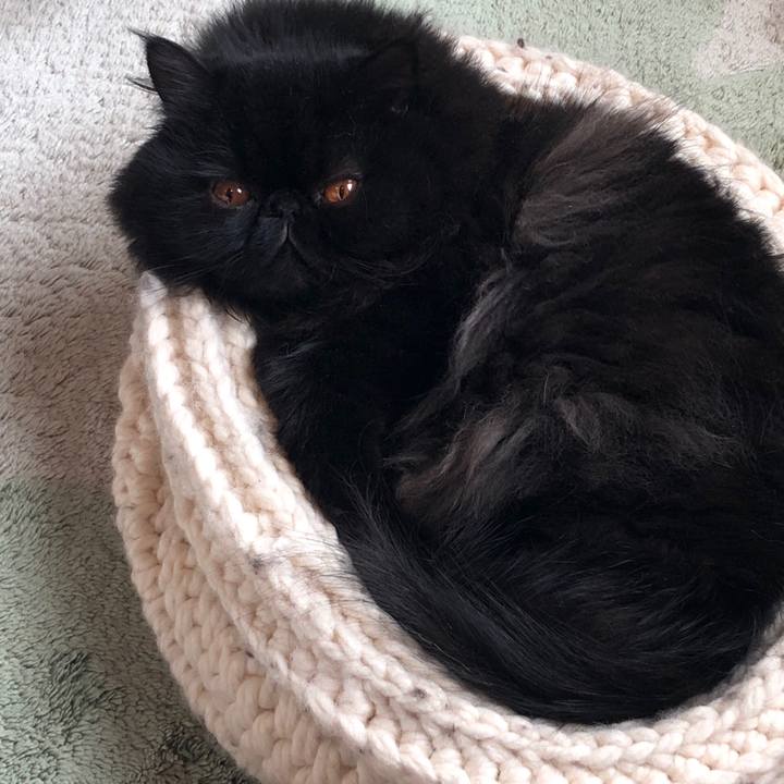 3a6aa44d 337b 4556 babb 87034f61a86c 1542497605657