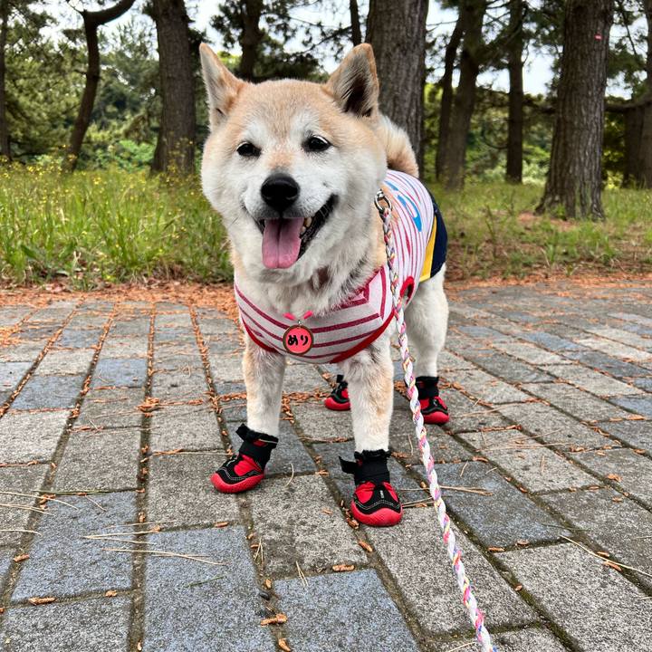 3a6abb6a dc3f 4973 9c0d 9b8ecb2a309b 1746334705656