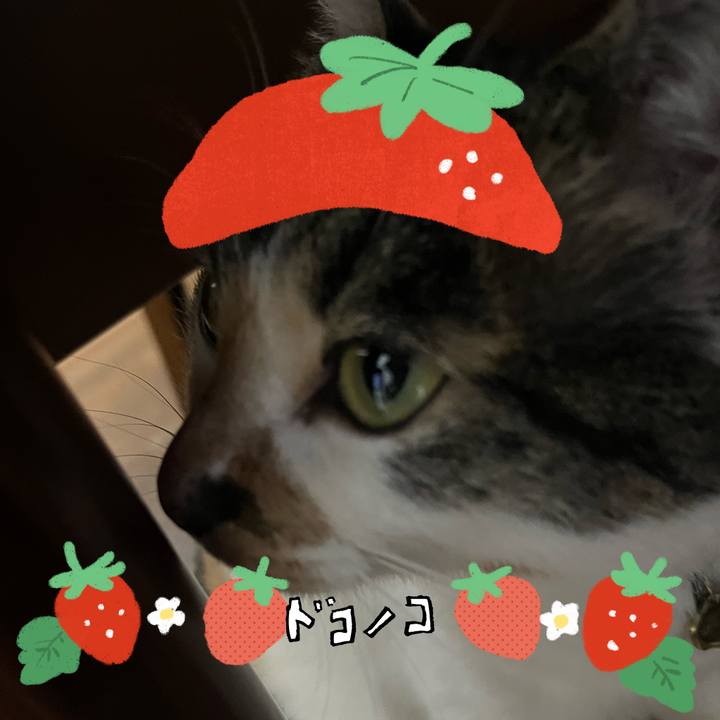 3a6aeb8f a04e 485f ad1c 3fdb27f5a52f 1775184804237