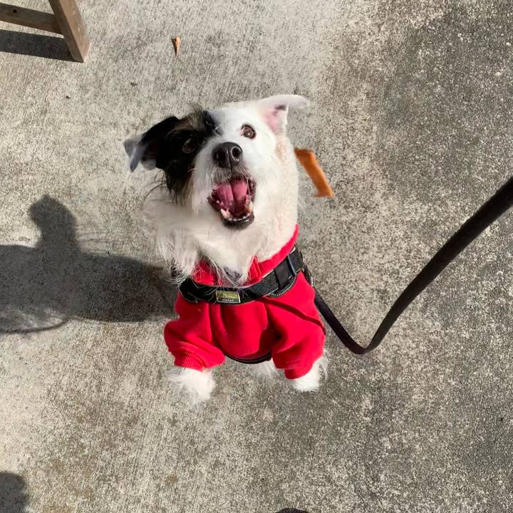 3a6b0533 afcf 44bd b5af f2a9c8617dc1 1674179152758