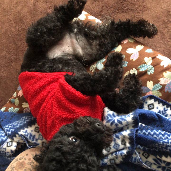 3a6b0e6f ffca 45a9 86e4 403c0851da1b 1581082975464