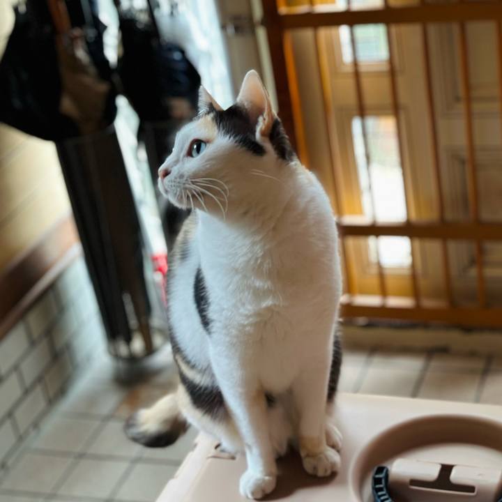 3a6b3d6a 132a 43b4 9333 19dcb62c8e89 1697678609682