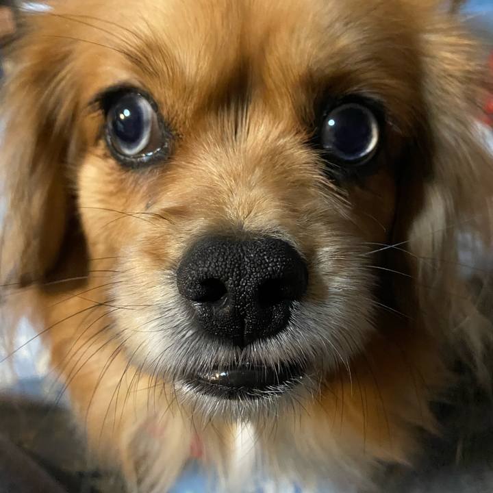 3a6bcce6 2445 49fc 87f8 24b87fdcc903 1611179417800