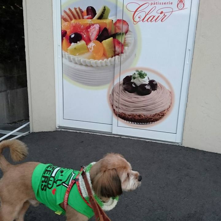 3a6bdc21 8c30 44cd 872c 0ff157ef5ffe 1513157178178