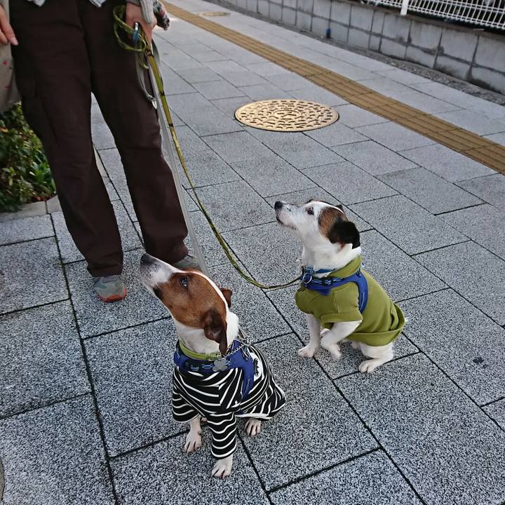 3a6bf82f f1d4 4b64 aab5 1f2483e6546f 1582756412337